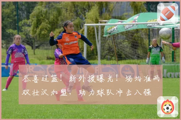 恭喜辽篮!新外援曝光!场均准两双壮汉加盟,助力球队冲击八强