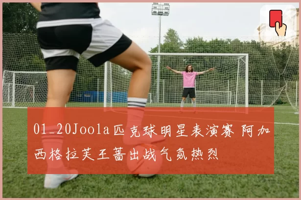 01_20Joola匹克球明星表演赛 阿加西格拉芙王蔷出战气氛热烈