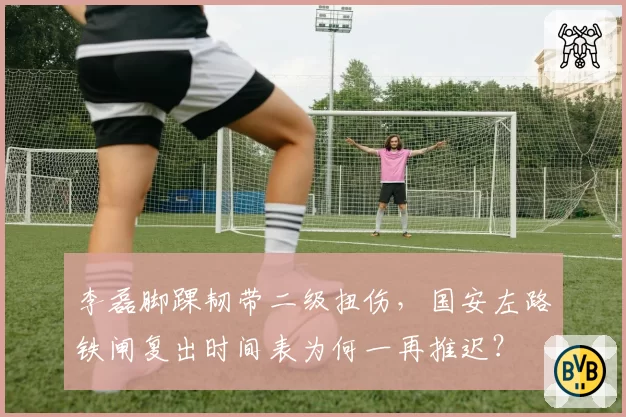 李磊脚踝韧带二级扭伤,国安左路铁闸复出时间表为何一再推迟?