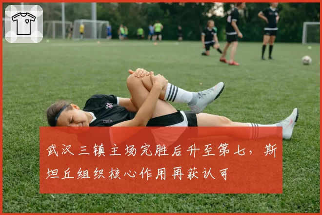 武汉三镇主场完胜后升至第七，斯坦丘组织核心作用再获认可