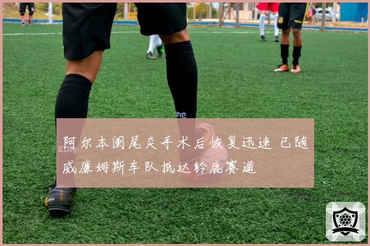 阿尔本阑尾炎手术后恢复迅速 已随威廉姆斯车队抵达铃鹿赛道